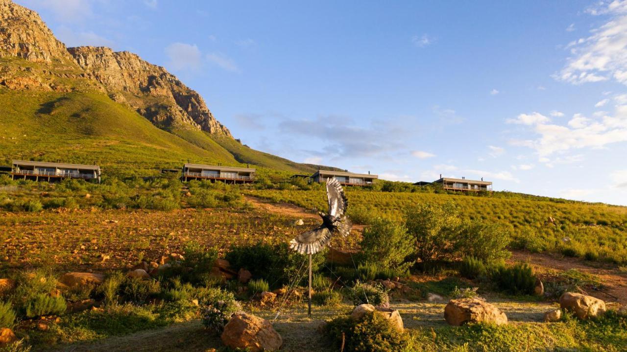 Wolseley Big Sky Cottages מראה חיצוני תמונה