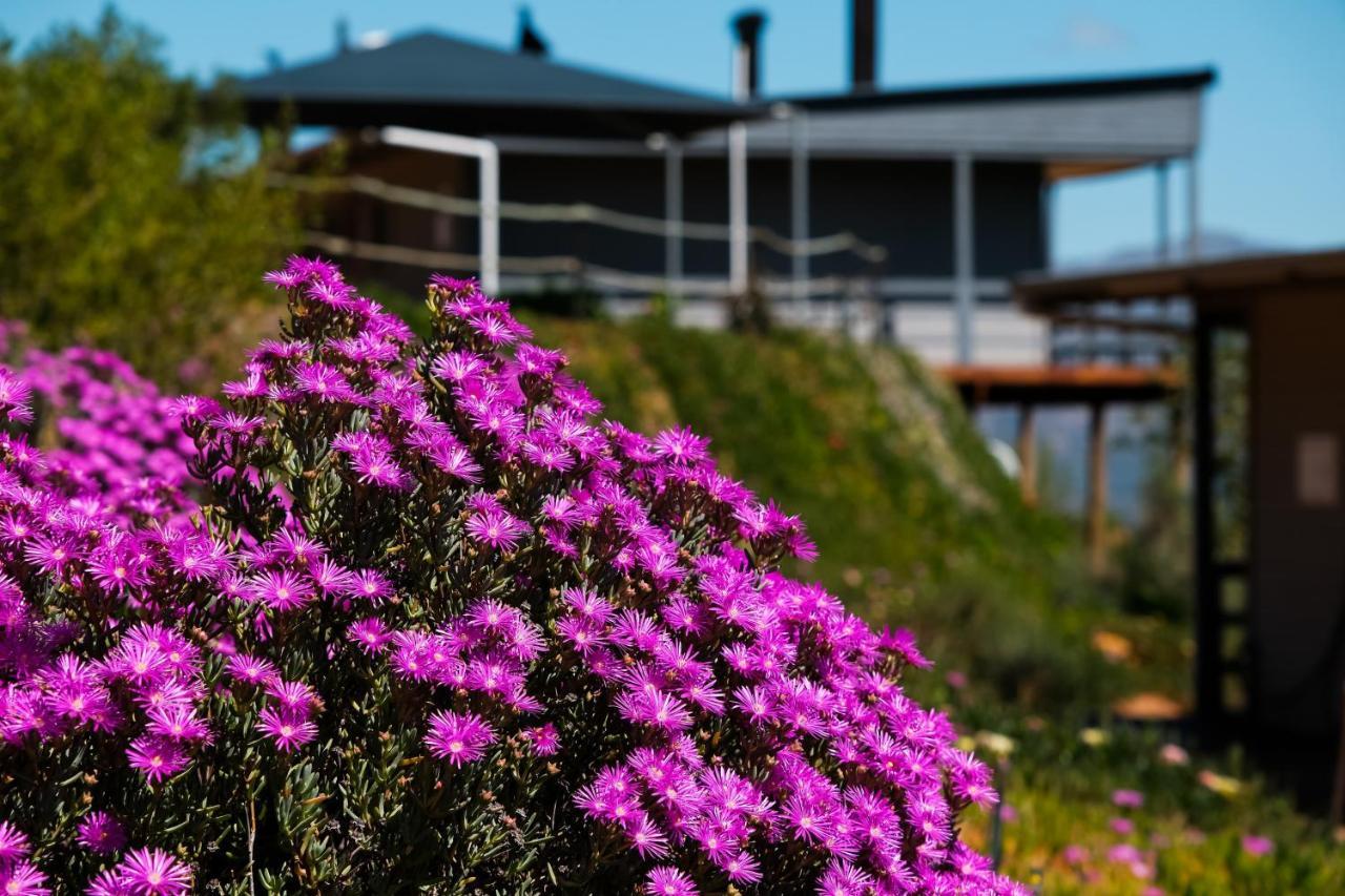 Wolseley Big Sky Cottages מראה חיצוני תמונה